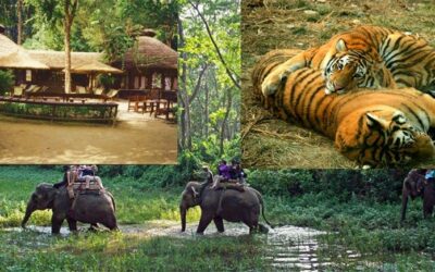 Kathmandu and Chitwan Tour